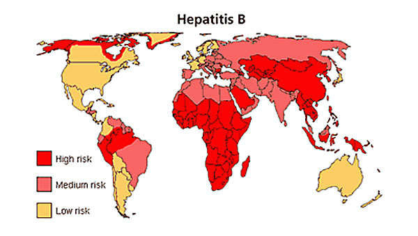 Hepatitis B - Rumah Vaksinasi